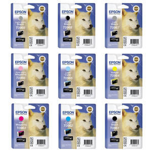 Epson T096  Multipack ink cartridges